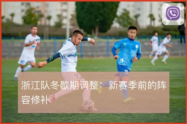 浙江队冬歇期调整：新赛季前的阵容修补